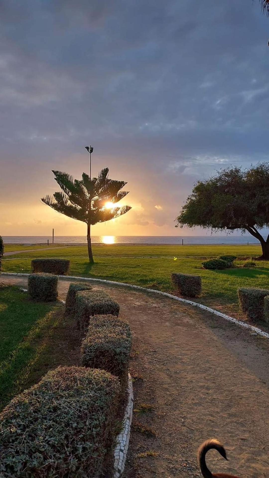 Apartamento Magic World Nueva Marina D'Or 2 Dormitorios Edificio Torremar Oropesa del Mar Dış mekan fotoğraf
