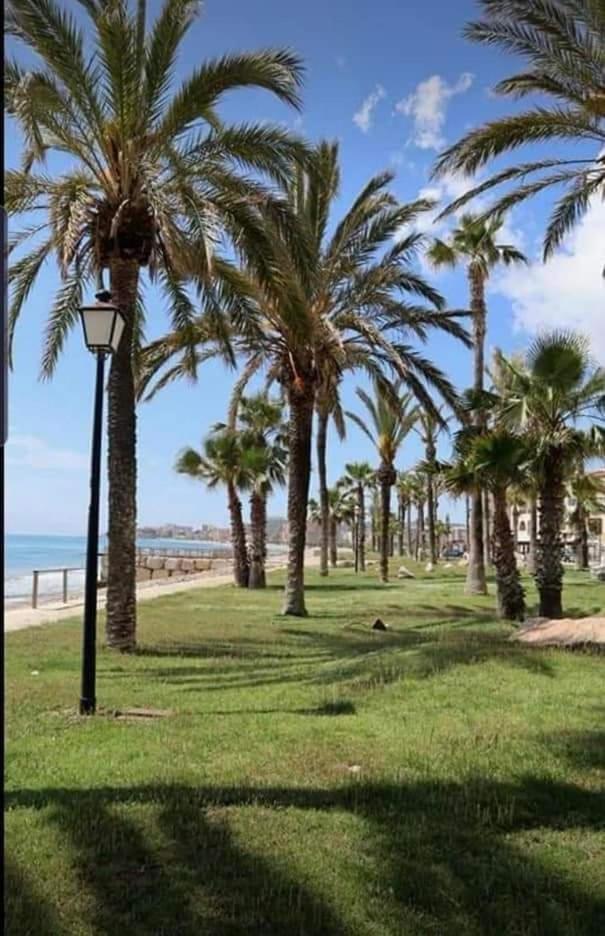 Apartamento Magic World Nueva Marina D'Or 2 Dormitorios Edificio Torremar Oropesa del Mar Oda fotoğraf