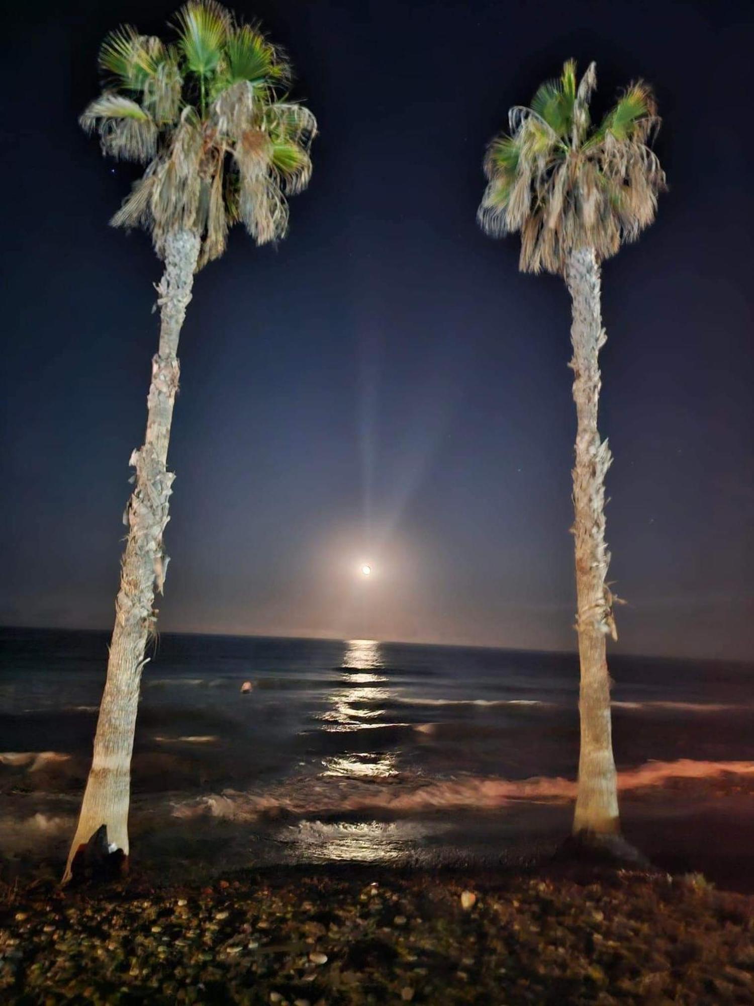 Apartamento Magic World Nueva Marina D'Or 2 Dormitorios Edificio Torremar Oropesa del Mar Dış mekan fotoğraf